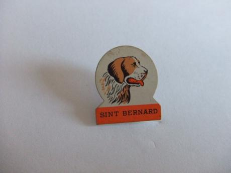 Rashond Sint Bernhard hond